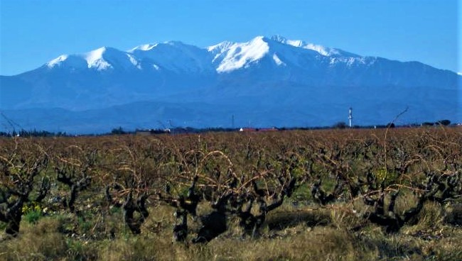 W Mount Canigou